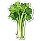 of Sticker Celery Head on White Background