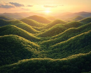 Poster - Sunset over rolling green hills and lush forests.