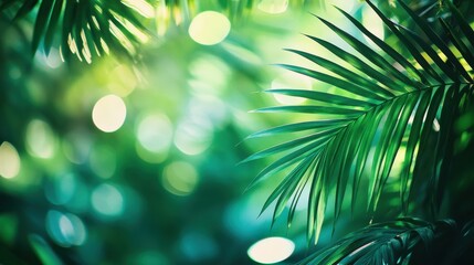 Aufkleber - Emerald green and vibrant turquoise bokeh create an enchanting backdrop of tropical palm leaves bathed in soft light