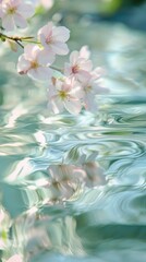 Poster - Delicate cherry blossoms reflect gently on serene turquoise water