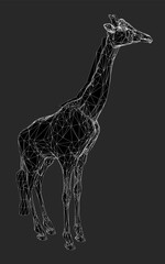 Poster - Black and white photo of a giraffe standing on a dark background. The image has a moody and mysterious feel to it, as the giraffe is the only visible element in the scene. The lack of color