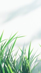Poster - Vibrant glowing neon green grass stretching towards a soft light on a tranquil day