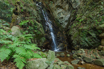 Wall Mural - Waterfall, water falling from rocks, drops of water, nature.	
