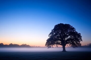 Aufkleber - A wide-angle view captures a serene meadow enveloped in mist, with a solitary tree silhouetted against the soft glow of dawn breaking through the fog