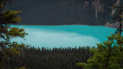 lake louise banff national park