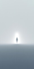 Wall Mural - a person is standing in a foggy field
