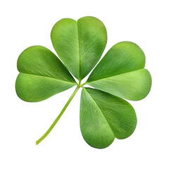 Four leaf clover symbolizing luck on transparency background