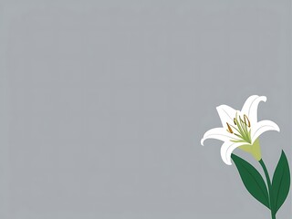 Wall Mural - A Single White Lily Flower on Grey Background