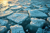 Drifting ice floes at sunset.