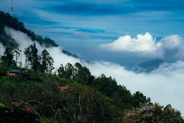 Wall Mural - Lush hillside with rolling clouds under blue sky.