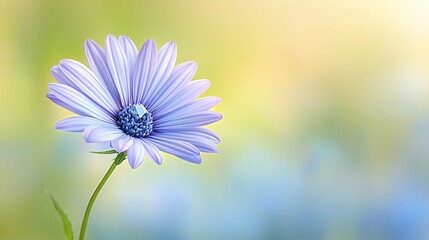 Wall Mural - A single blue flower with a bee sitting on top of it