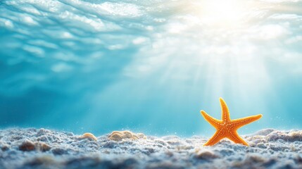 Wall Mural - A starfish on the bottom of the ocean with the sun shining through the water