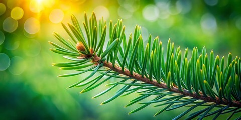 Poster - Minimalist Abstract Pine Needle Texture: Green Nature Background