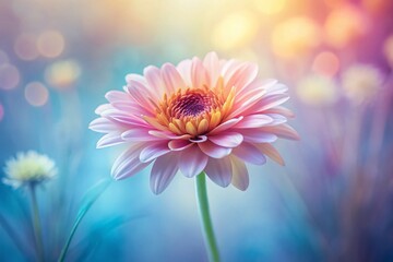 Poster - Minimalist Long Exposure Flower Bloom, Soft Pastel Colors, Artistic Nature Photography