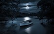 © MDABDUR - Serene Night Scene with Boat and Moonlight Reflection