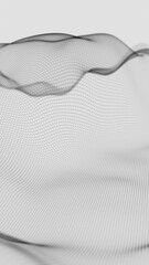 Poster - Hexagonal Mesh Pattern with Flowing Abstract Waves in Black and White