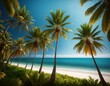 © Ilia - Serene tropical beach lined with palm trees