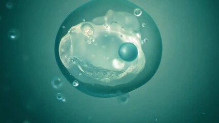 Poster - This Close up of embryos developing in incubators, highlighting their growth under controlled conditions.