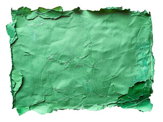 Wall Mural - textured green paper background for design