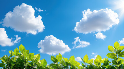 Poster - Lush green leaves against bright blue sky with fluffy white clouds create serene and refreshing atmosphere. vibrant colors evoke sense of peace and tranquility