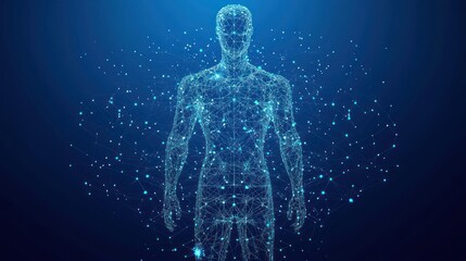 Leinwandbilder - A digital representation of a human figure composed of interconnected points and lines.