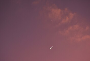 Wall Mural - half moon and venus arranging on sky in twilight orange