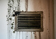 © Alexandra - Mold infestation spreading on a wall around a dirty air vent, posing a significant health risk and highlighting the importance of proper ventilation and mold remediation