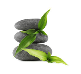 Wall Mural - Spa stones and green leaves isolated on white