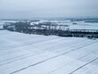 © daily_creativity - Aerial view of a snowy landscape showcasing vast fields and bare trees under a gray sky. Calm and serene winter scene.