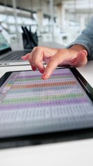 Poster - Electronic Spreadsheet Analyst Or Auditor Using Software
