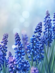 Soft focus field of blue spring flowers with blurred background