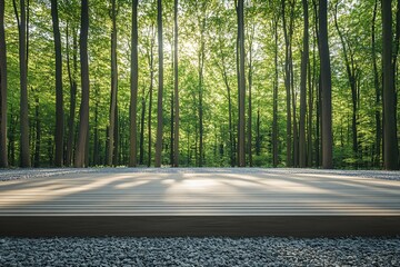 Poster - Sunlit forest path with wooden deck.