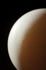 Poster - Close-up of a single, textured, white egg against a black background.