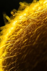 Aufkleber - Close-up of a golden, hairy, textured surface with fine details and hairs.