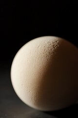 Poster - Close-up of a single, textured, off-white chicken egg on a dark background.