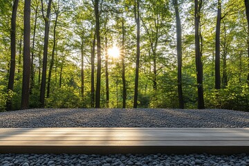 Poster - Wooden platform in serene forest at sunset.