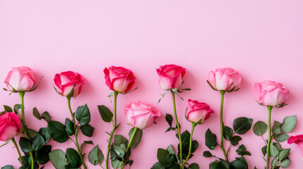 Poster - Soft pink roses forming elegant floral border against blush backdrop, symbolizing romantic sentiment and love's delicate elegance