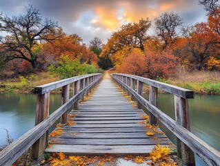 Poster - Wooden bridge over calm river in autumnal forest at sunset.