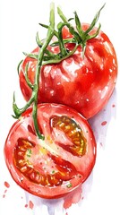 Watercolor illustration of a tomato isolated on white background, perfect for food and cooking related designs