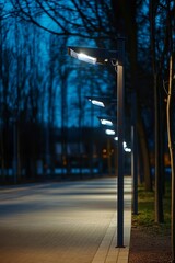 Wall Mural - Night path, illuminated by poles, trees blurred.