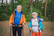© Юлия Завалишина - Hiking tourism adventure. Senior couple man woman enjoying outdoor recreation hiking in forest. Happy old people backpackers hikers enjoy walking hike trekking tourism active vacation beauty of nature