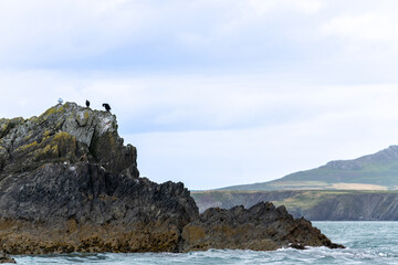 Wall Mural - Jagged rugged rock in ocean off St David's with island landscape behind.