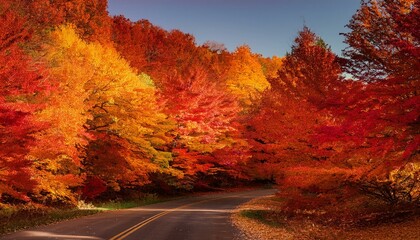 Canvas Print - Autumnal road winds through vibrant fall foliage. Red, orange, and yellow leaves paint the trees.