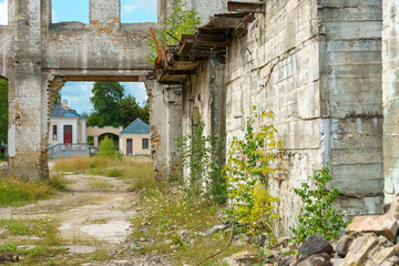 The ruins of a ruined building. A ruined distillery.