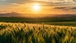 © Artbi - Cinematic Moments: Rolling Wheat Fields Under a Fiery Sunset