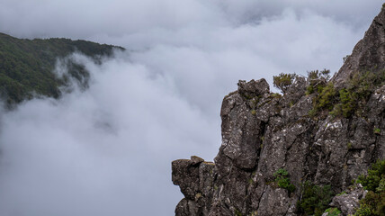 Wall Mural - A rugged mountain cliff surrounded by dense clouds, with a lush green forest partially visible through the mist. A dramatic and serene high-altitude landscape.