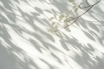 Aufkleber - Delicate Shadows of Tree Leaves on Minimalist White Wall Background