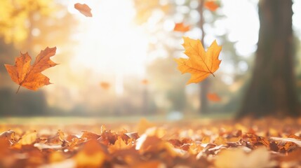 Wall Mural - bright sunlight filters through the trees as vibrant autumn leaves fall gracefully, creating a color