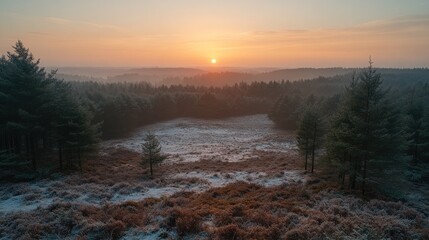 Wall Mural - Sunrise over frosty winter forest.