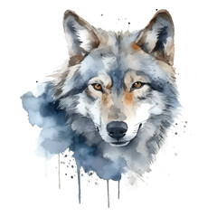 Wall Mural - Watercolor wolf portrait with abstract drips vector illustration